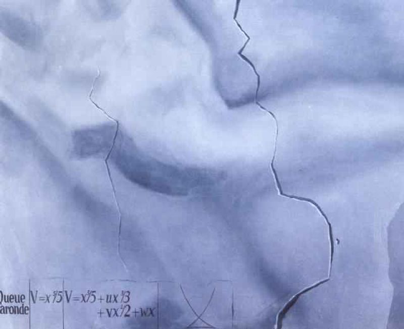 1983_05_topological abduction of europe - homage to rene thom 1983.jpg